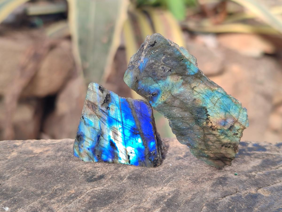 Polished One Side Labradorite Display Pieces Cut to Stand x 70 From Madagascar - Toprock Gemstones and Minerals 
