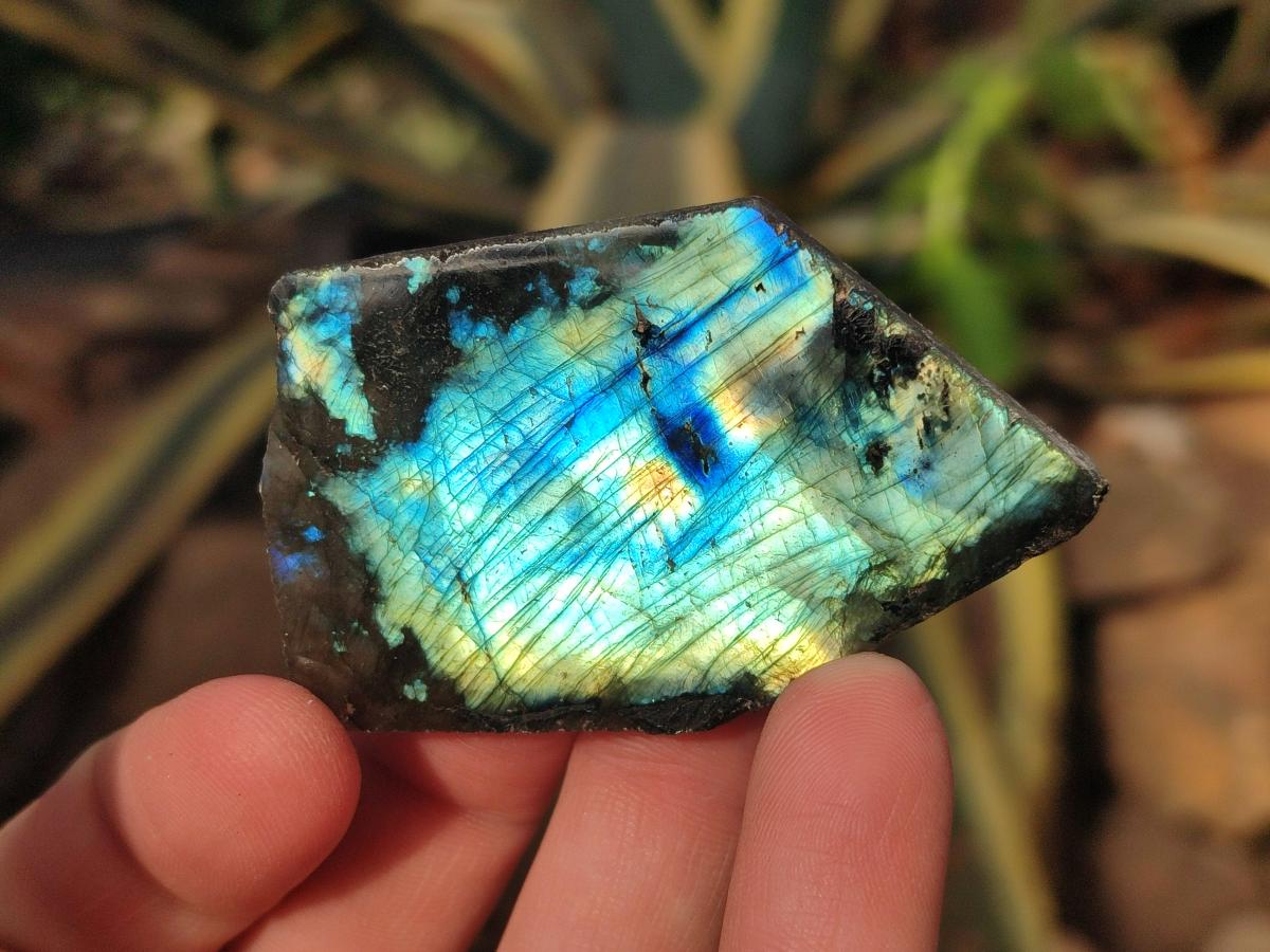 Polished One Side Labradorite Display Pieces Cut to Stand x 70 From Madagascar - Toprock Gemstones and Minerals 
