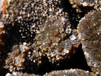 Polished Septerye Sauvage "Dragons Egg" Geodes x 2 From Mahajanga, Madagascar - Toprock Gemstones and Minerals 