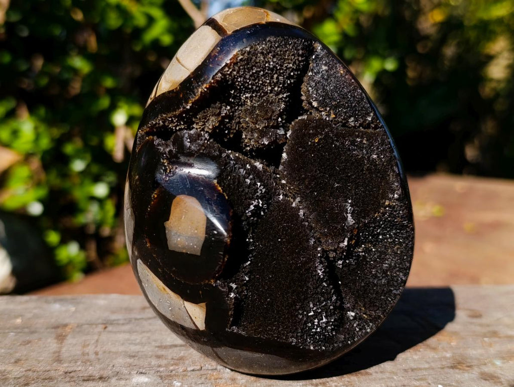 Polished Septerye Sauvage "Dragons Egg" Geodes x 2 From Mahajanga, Madagascar - Toprock Gemstones and Minerals 