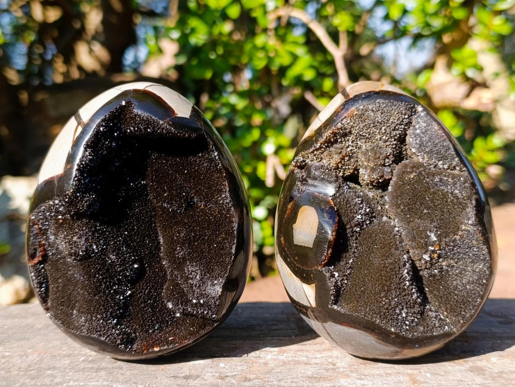 Polished Septerye Sauvage "Dragons Egg" Geodes x 2 From Mahajanga, Madagascar - Toprock Gemstones and Minerals 