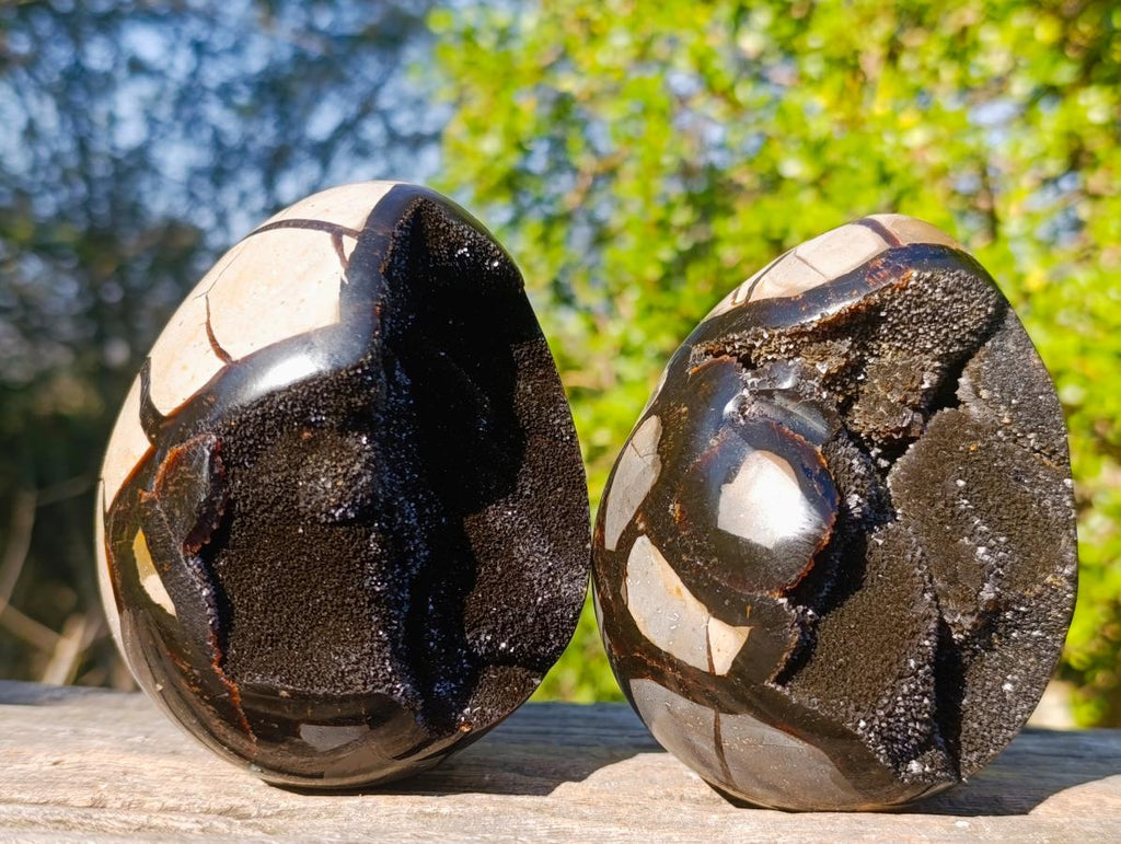 Polished Septerye Sauvage "Dragons Egg" Geodes x 2 From Mahajanga, Madagascar - Toprock Gemstones and Minerals 