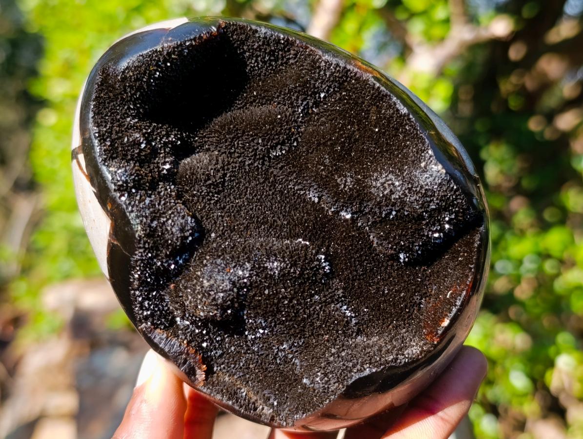 Polished Septerye Sauvage "Dragons Egg" Geodes x 2 From Mahajanga, Madagascar - Toprock Gemstones and Minerals 
