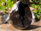 Polished Septerye Sauvage "Dragons Egg" Geodes x 2 From Mahajanga, Madagascar - Toprock Gemstones and Minerals 