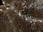 Polished Septerye Sauvage "Dragons Egg" Geodes x 2 From Mahajanga, Madagascar - Toprock Gemstones and Minerals 