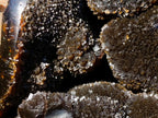 Polished Septerye Sauvage "Dragons Egg" Geodes x 2 From Mahajanga, Madagascar - Toprock Gemstones and Minerals 