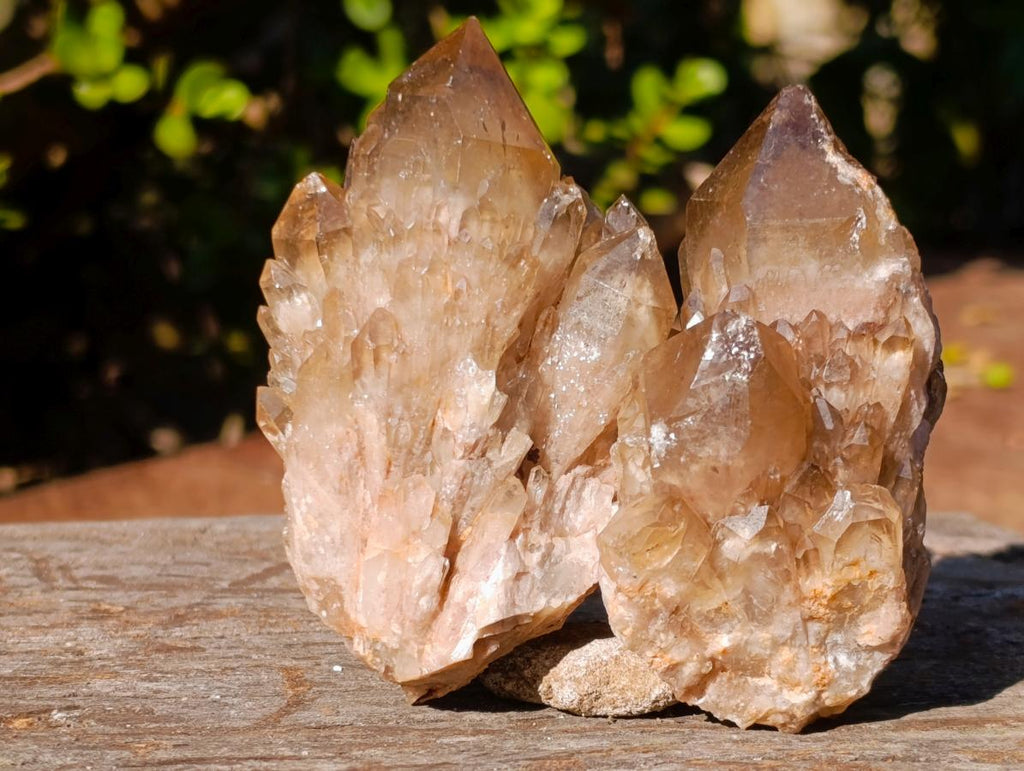 Natural Cascading Smokey Citrine Quartz Clusters x 12 From Luena, Congo - Toprock Gemstones and Minerals 