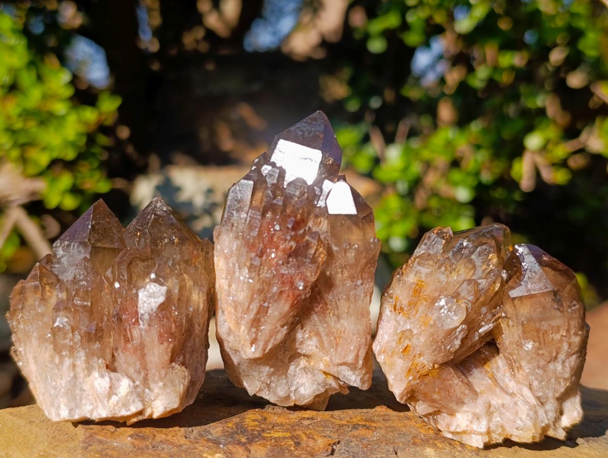 Natural Cascading Smokey Citrine Quartz Clusters x 12 From Luena, Congo - Toprock Gemstones and Minerals 