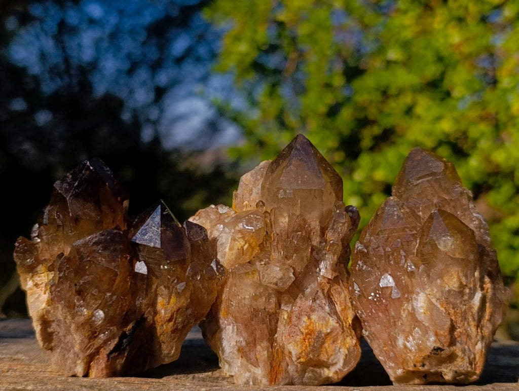 Natural Cascading Smokey Citrine Quartz Clusters x 12 From Luena, Congo - Toprock Gemstones and Minerals 