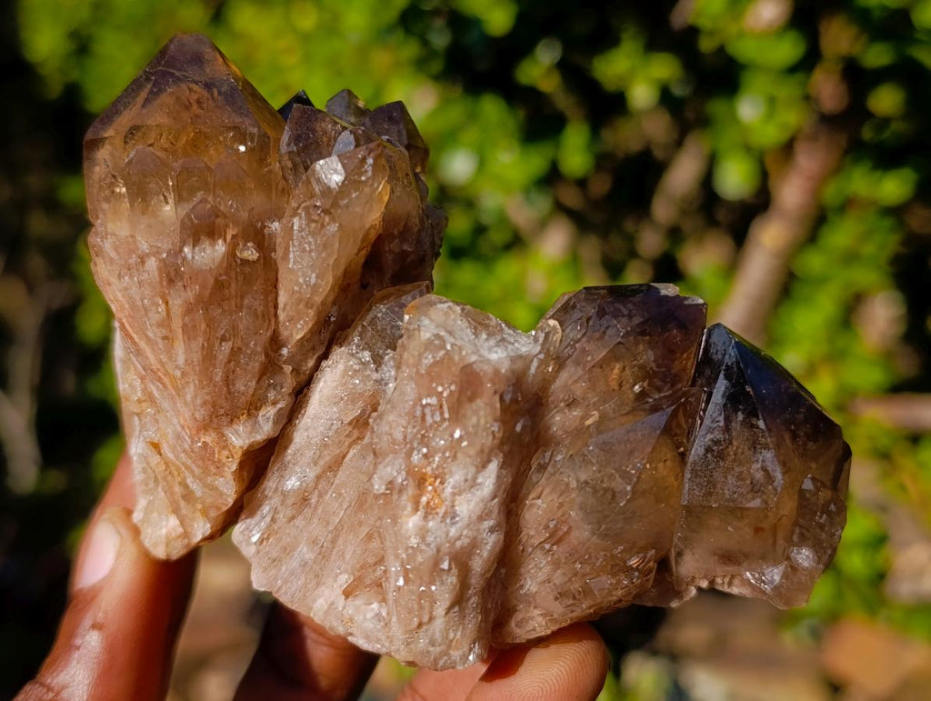 Natural Cascading Smokey Citrine Quartz Clusters x 12 From Luena, Congo - Toprock Gemstones and Minerals 