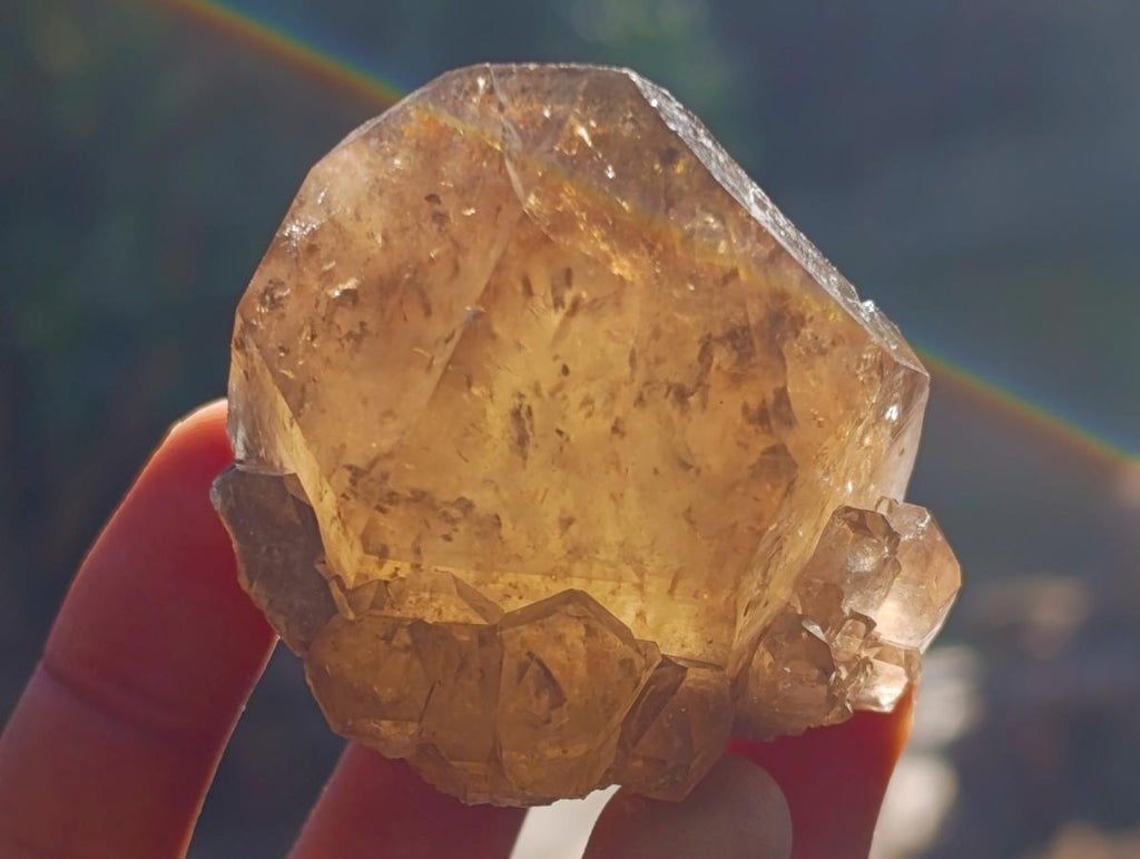 Natural Cascading Smokey Citrine Quartz Clusters x 12 From Luena, Congo - Toprock Gemstones and Minerals 