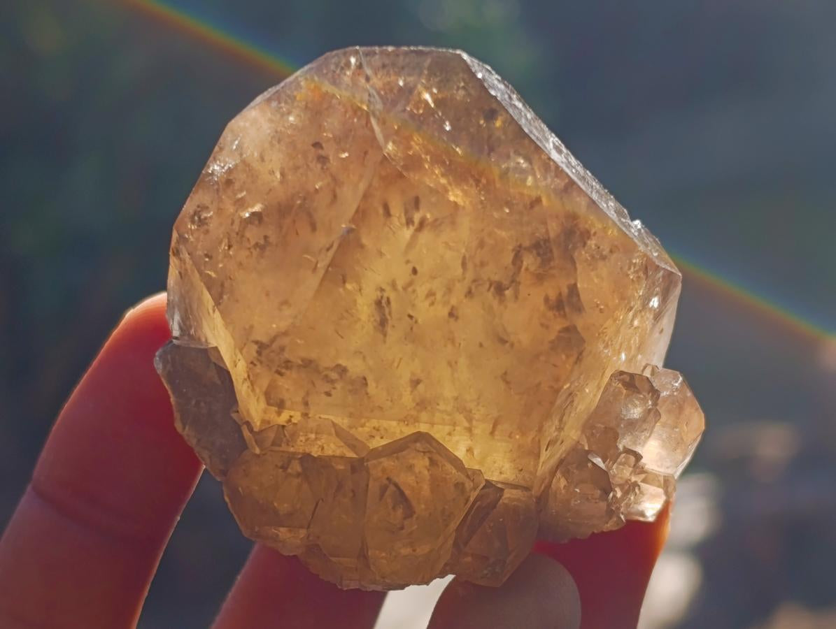 Natural Cascading Smokey Citrine Quartz Clusters x 12 From Luena, Congo - Toprock Gemstones and Minerals 