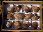 Natural Cascading Smokey Citrine Quartz Clusters x 12 From Luena, Congo - Toprock Gemstones and Minerals 