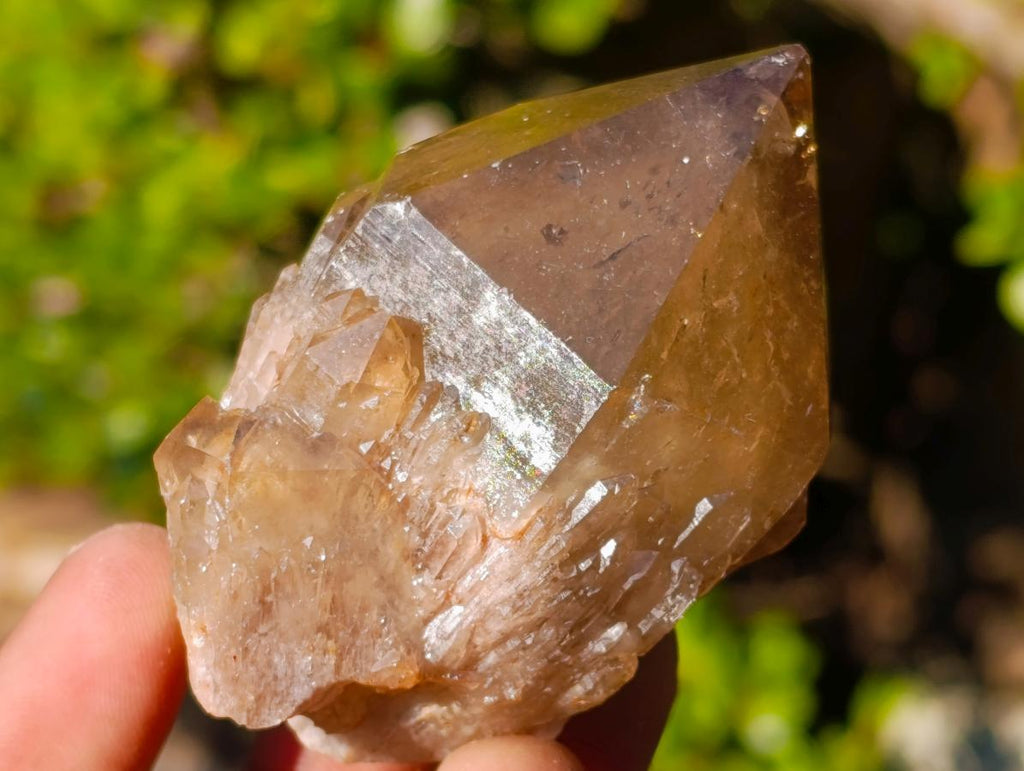 Natural Cascading Smokey Citrine Quartz Clusters x 12 From Luena, Congo - Toprock Gemstones and Minerals 