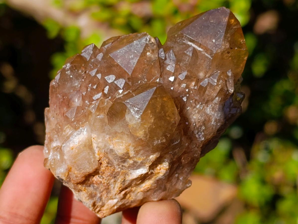 Natural Cascading Smokey Citrine Quartz Clusters x 12 From Luena, Congo - Toprock Gemstones and Minerals 
