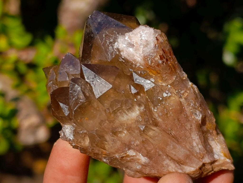 Natural Cascading Smokey Citrine Quartz Clusters x 12 From Luena, Congo - Toprock Gemstones and Minerals 