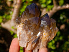 Natural Cascading Smokey Citrine Quartz Clusters x 12 From Luena, Congo - Toprock Gemstones and Minerals 