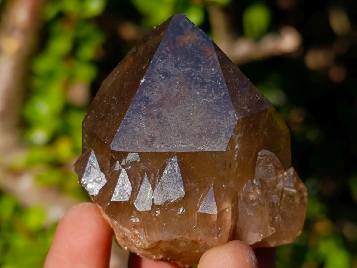 Natural Cascading Smokey Citrine Quartz Clusters x 12 From Luena, Congo - Toprock Gemstones and Minerals 