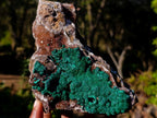 Natural Large Ball Malachite Specimen with Drusy Copper Quartz on Dolomite x 1 From Mindingi Mine, Kambove, Congo - Toprock Gemstones and Minerals 