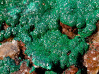Natural Large Ball Malachite Specimen with Drusy Copper Quartz on Dolomite x 1 From Mindingi Mine, Kambove, Congo - Toprock Gemstones and Minerals 