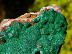 Natural Large Ball Malachite Specimen with Drusy Copper Quartz on Dolomite x 1 From Mindingi Mine, Kambove, Congo - Toprock Gemstones and Minerals 