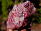 Natural Rhodonite Cobbed Specimens x 6 From Rhusinga, Zimbabwe - Toprock Gemstones and Minerals 