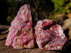 Natural Rhodonite Cobbed Specimens x 6 From Rhusinga, Zimbabwe - Toprock Gemstones and Minerals 
