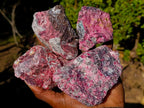 Natural Rhodonite Cobbed Specimens x 6 From Rhusinga, Zimbabwe - Toprock Gemstones and Minerals 