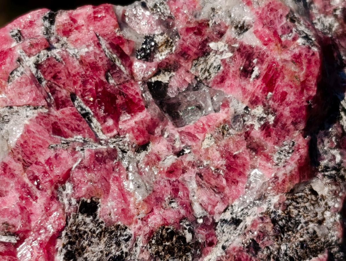 Natural Rhodonite Cobbed Specimens x 6 From Rhusinga, Zimbabwe - Toprock Gemstones and Minerals 