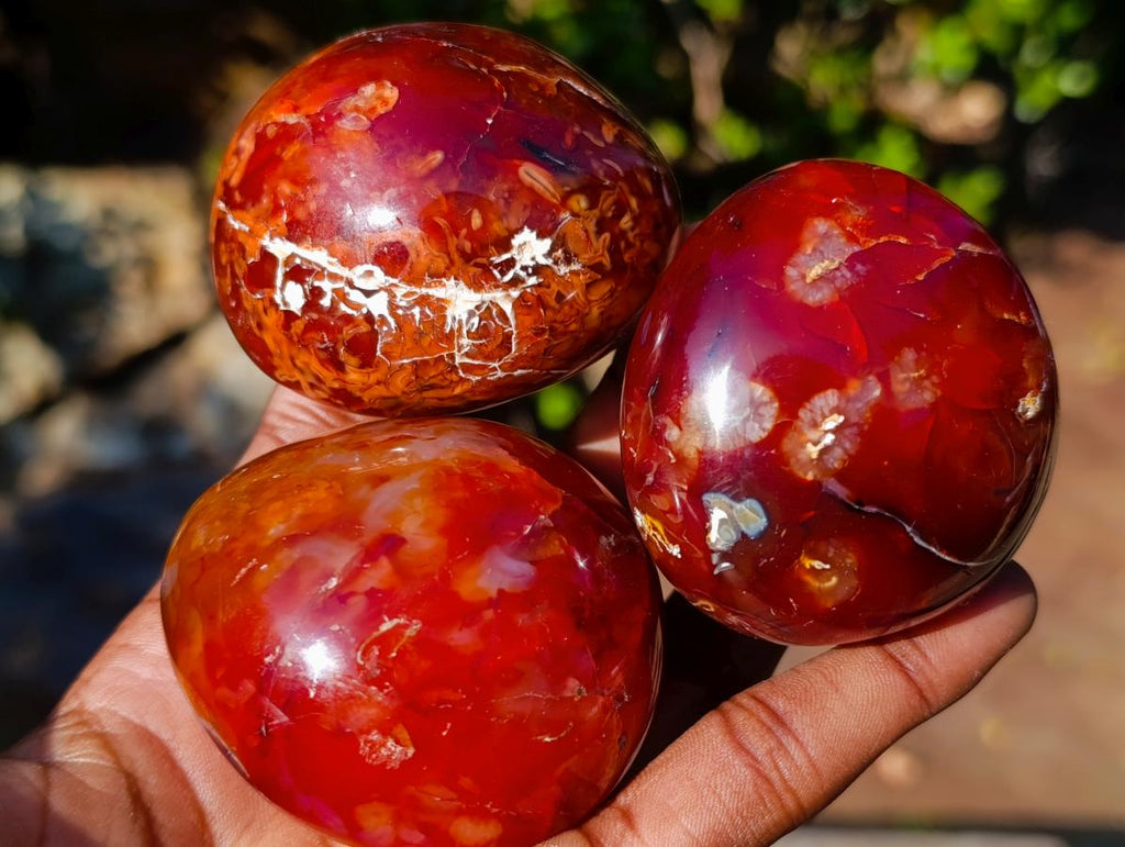 Polished Carnelian Agate Gemstone Galet Free Forms x 12 From Madagascar - Toprock Gemstones and Minerals 