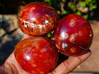Polished Carnelian Agate Gemstone Galet Free Forms x 12 From Madagascar - Toprock Gemstones and Minerals 