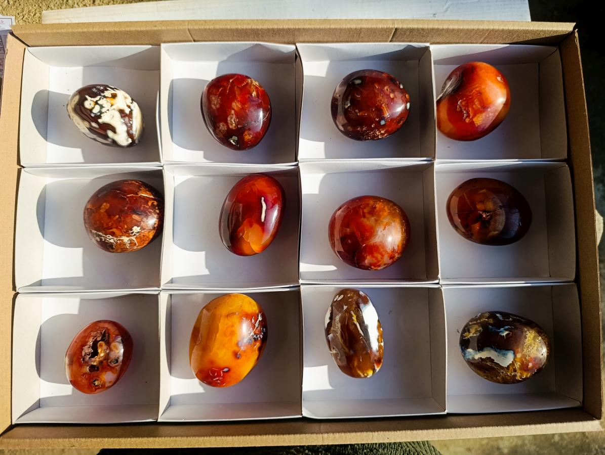 Polished Carnelian Agate Gemstone Galet Free Forms x 12 From Madagascar - Toprock Gemstones and Minerals 