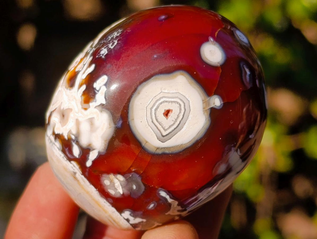 Polished Carnelian Agate Gemstone Galet Free Forms x 12 From Madagascar - Toprock Gemstones and Minerals 
