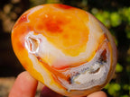 Polished Carnelian Agate Gemstone Galet Free Forms x 12 From Madagascar - Toprock Gemstones and Minerals 