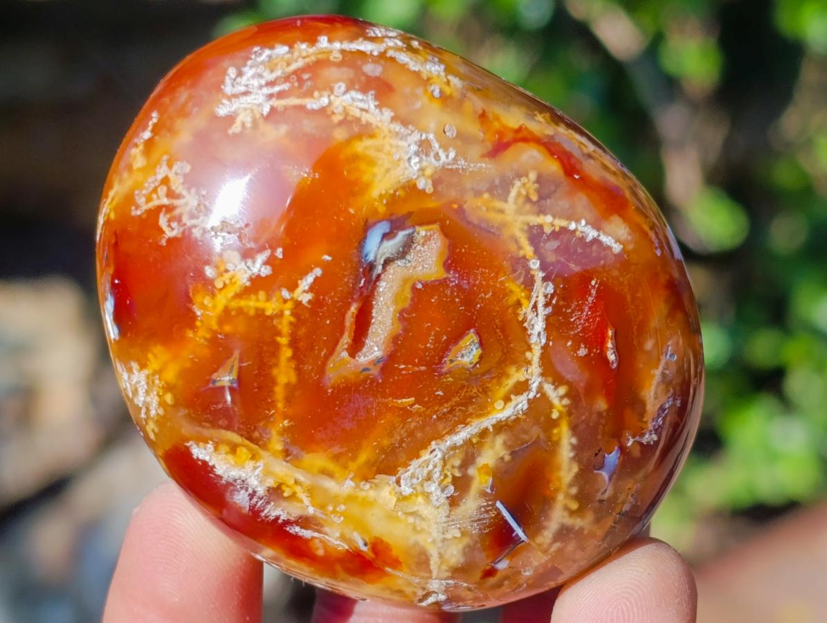 Polished Carnelian Agate Gemstone Galet Free Forms x 12 From Madagascar - Toprock Gemstones and Minerals 