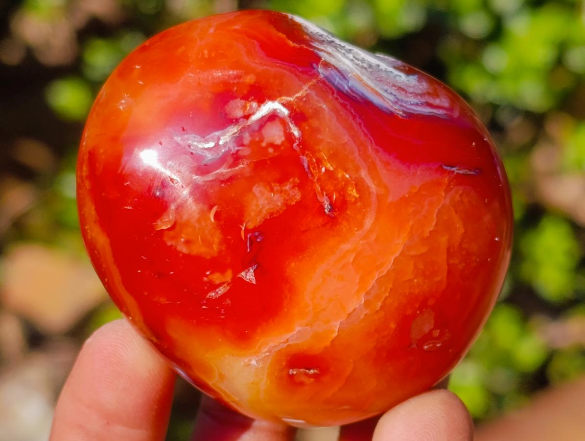Polished Carnelian Agate Gemstone Galet Free Forms x 12 From Madagascar - Toprock Gemstones and Minerals 