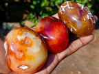 Polished Carnelian Agate Gemstone Galet Free Forms x 12 From Madagascar - Toprock Gemstones and Minerals 