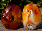Polished Carnelian Agate Gemstone Galet Free Forms x 12 From Madagascar - Toprock Gemstones and Minerals 