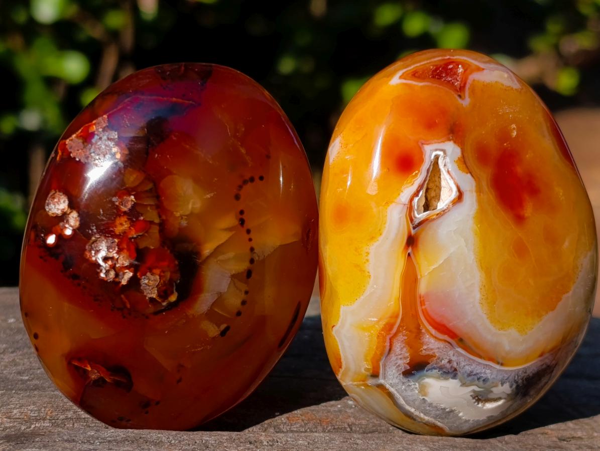 Polished Carnelian Agate Gemstone Galet Free Forms x 12 From Madagascar - Toprock Gemstones and Minerals 