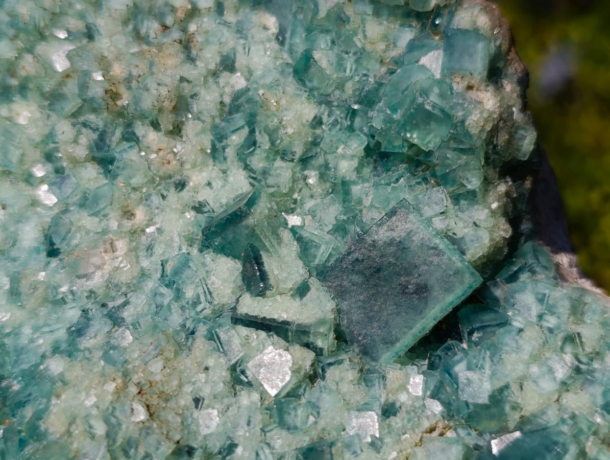 Natural Large Green Cubic Fluorite Specimen x 1 From Mandrosonoro, Madagascar - Toprock Gemstones and Minerals 