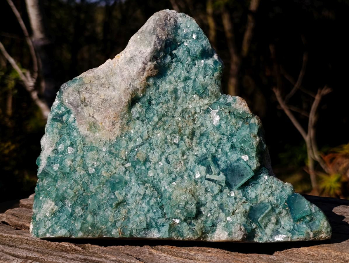 Natural Large Green Cubic Fluorite Specimen x 1 From Mandrosonoro, Madagascar - Toprock Gemstones and Minerals 