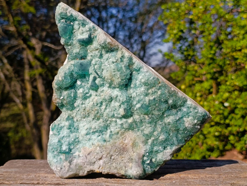 Natural Large Green Cubic Fluorite Specimen x 1 From Mandrosonoro, Madagascar - Toprock Gemstones and Minerals 
