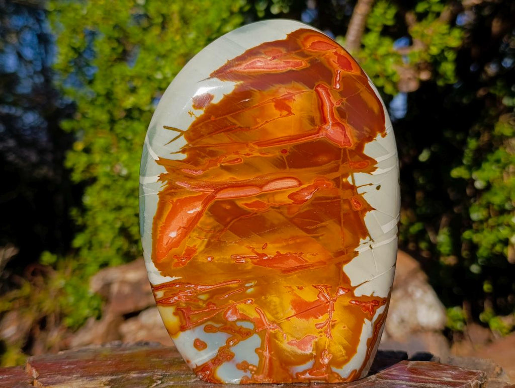Polished Large Polychrome Jasper Standing Display Pieces x 2 From NW Coast, Madagascar - Toprock Gemstones and Minerals 