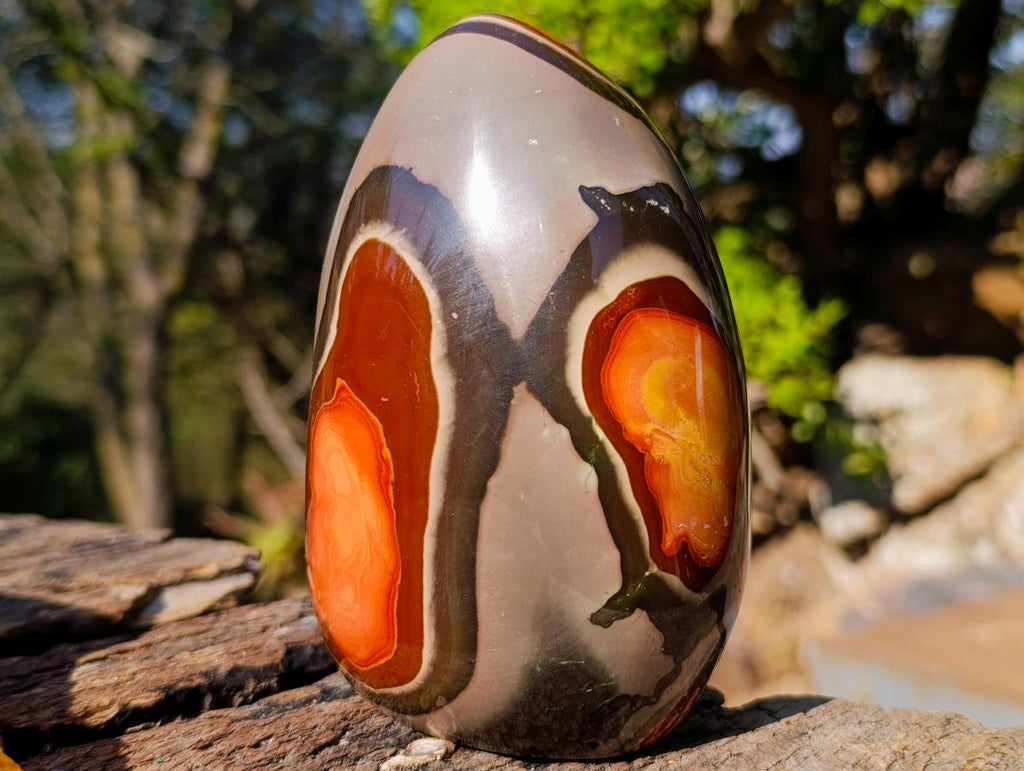 Polished Large Polychrome Jasper Standing Display Pieces x 2 From NW Coast, Madagascar - Toprock Gemstones and Minerals 