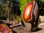 Polished Large Polychrome Jasper Standing Display Pieces x 2 From NW Coast, Madagascar - Toprock Gemstones and Minerals 