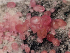 Natural Spherocobaltite Specimens x 3 From Musonoi Mine, Congo - Toprock Gemstones and Minerals 
