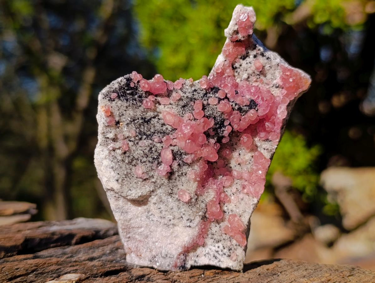 Natural Spherocobaltite Specimens x 3 From Musonoi Mine, Congo - Toprock Gemstones and Minerals 