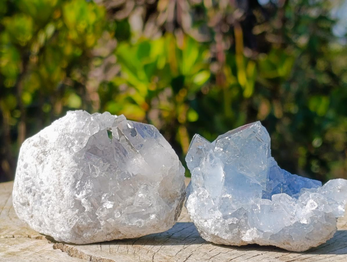 Natural Blue Celestite Geode Specimens x 6 From Sakoany, Madagascar - Toprock Gemstones and Minerals 