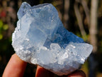 Natural Blue Celestite Geode Specimens x 6 From Sakoany, Madagascar - Toprock Gemstones and Minerals 