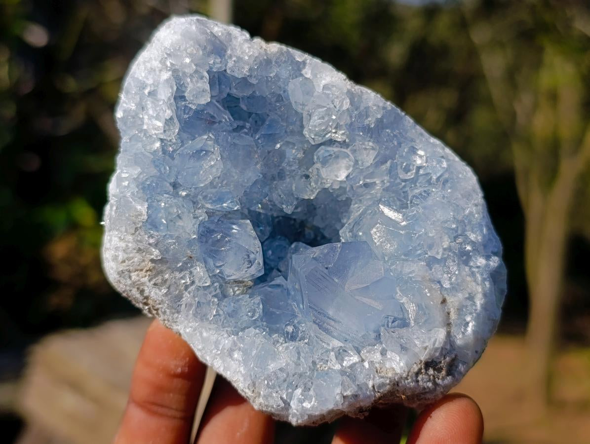 Natural Blue Celestite Geode Specimens x 6 From Sakoany, Madagascar - Toprock Gemstones and Minerals 